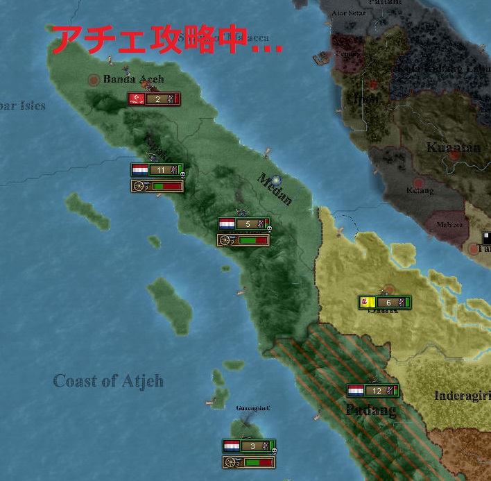 Nd1-1.jpg