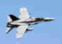 hornet.jpeg